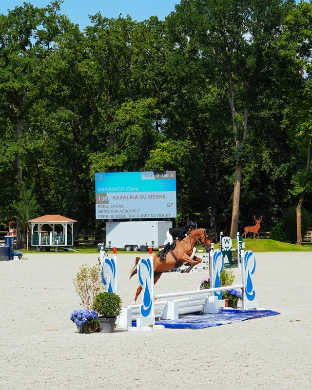 Show jumping with the XL screen showing the rider and horse