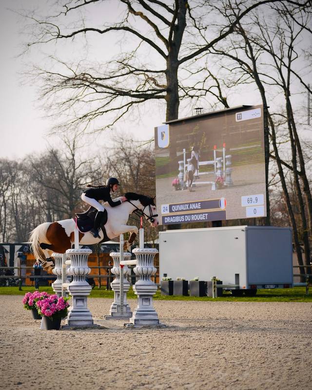 Show jumping broadcast live on the XL screen