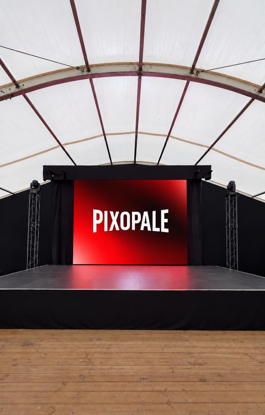 FLEX on stage · private party